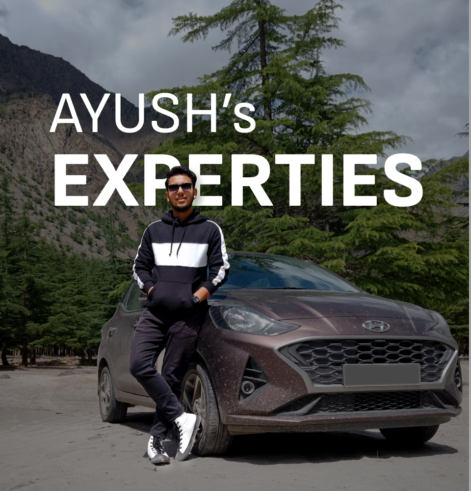 Ayush's Expertise